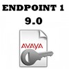 IPO R9 AV IP ENDPT 1 ADI LIC